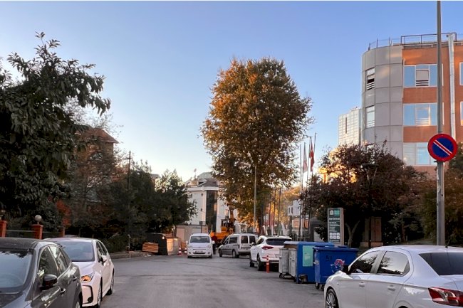 Gayrettepe Mahallesi Sebat Sokak Kentsel Dönüşüm Alanı